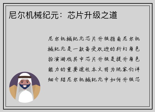 尼尔机械纪元：芯片升级之道